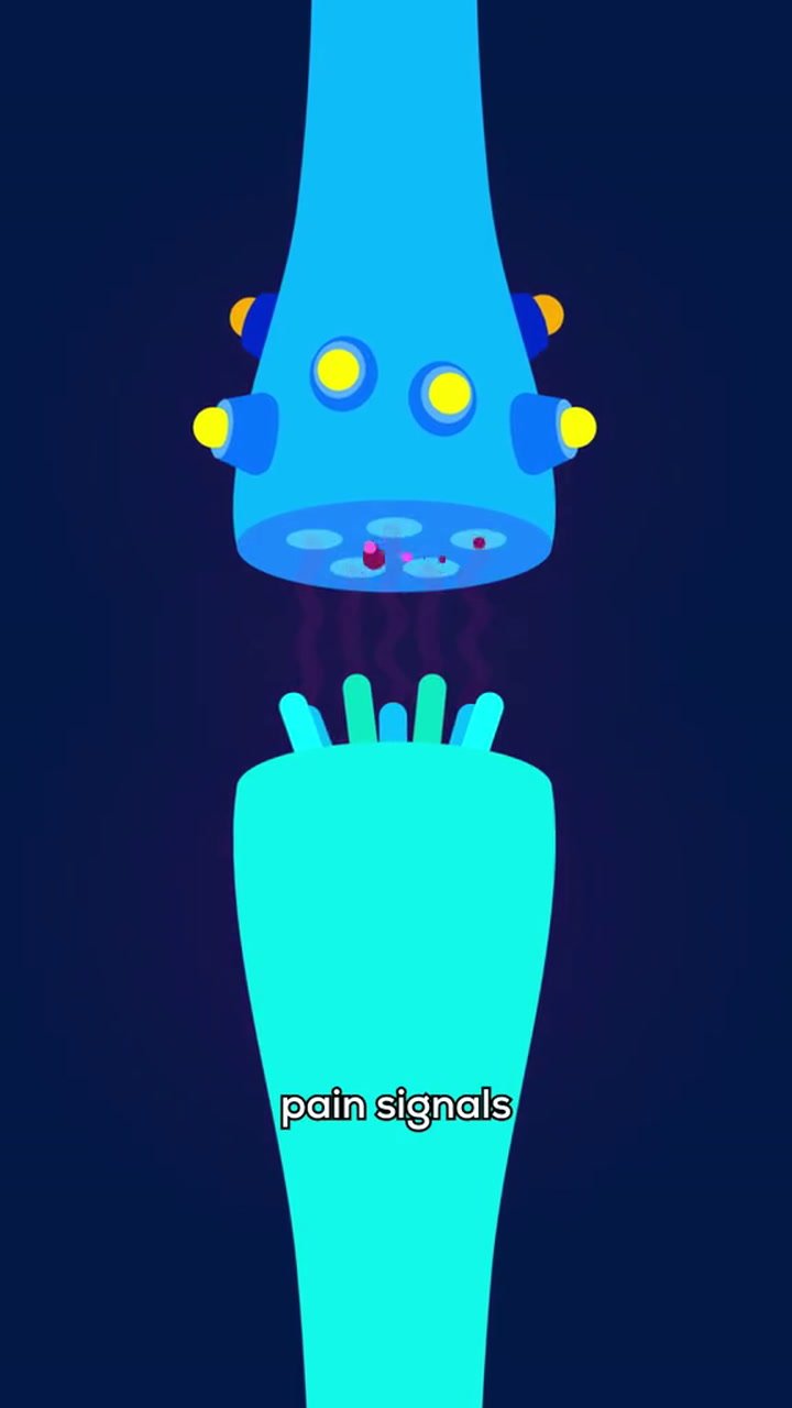 Ssstik.io 1732803061126