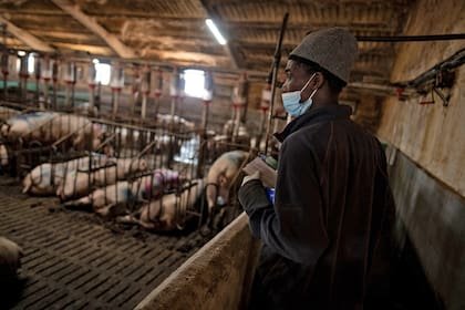 Mientras esperan la aceptación para residir en el país, los refugiados realizan diferentes tareas que ayudan a la activación económica del pueblo.