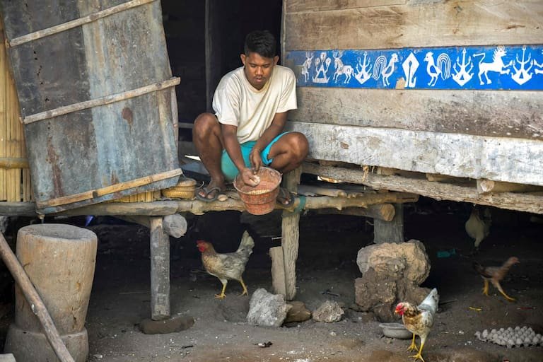 This photo taken on June 23, 2026 shows Umbu Ana Rara, a maramba (nobleman), feeding his chickens as part of household chores that he shares with his ata (slave) at Tanggedu village in East Sumba, East Nusa Tenggara. Two hours from the tourist beaches of Bali, slavery is alive and well on the Indonesian island of Sumba, where people are still being born into bondage. Eight of out 10 of Sumba's population of 685,000 people are Christian but its older "marapu" belief system, that blends animism and ancestor worship, has deep roots. It divides society into three castes, "the nobles, called 'maramba' -- often large landowners -- ordinary people called 'kabihu' and the slaves/servants, the atas," said rights activist Martha Hebi, author of several studies on the subject. (Photo by BAY ISMOYO / AFP) / To go with Indonesia-Sumba-slavery, SPECIAL REPORT by Eric Bernaudeau