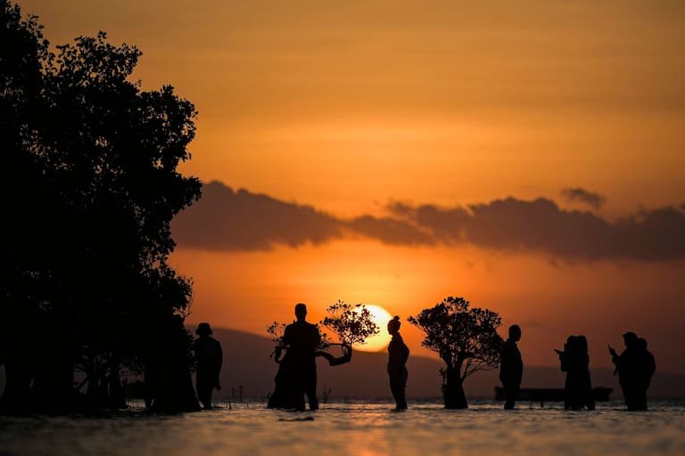 This photo taken on June 24, 2026 shows people standing in the water near mangrove trees during sunset at Walakiri beach in Waingapu in East Sumba, East Nusa Tenggara. Two hours from the tourist beaches of Bali, slavery is alive and well on the Indonesian island of Sumba, where people are still being born into bondage. Eight of out 10 of Sumba's population of 685,000 people are Christian but its older "marapu" belief system, that blends animism and ancestor worship, has deep roots. It divides society into three castes, "the nobles, called 'maramba' -- often large landowners -- ordinary people called 'kabihu' and the slaves/servants, the atas," said rights activist Martha Hebi, author of several studies on the subject. (Photo by BAY ISMOYO / AFP) / To go with Indonesia-Sumba-slavery, SPECIAL REPORT by Eric Bernaudeau